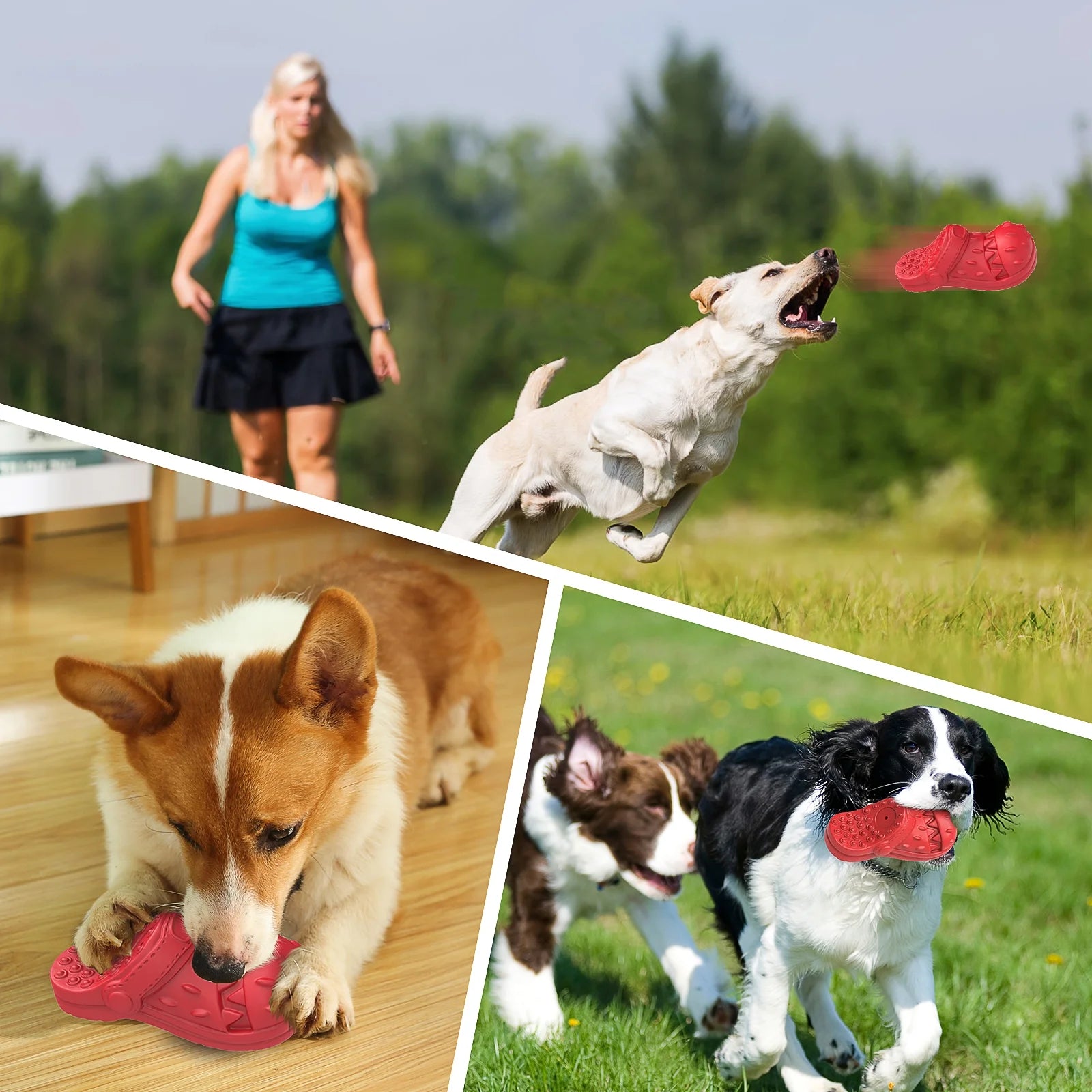 Squeaky Dog Toys Dog Chew Toy for Aggressive Chewer, Teeth Cleaning Shoe Shape Squeaky Dog Toys