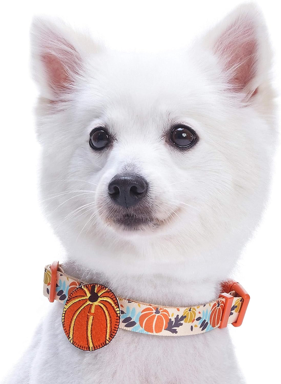 10 Patterns Fall Halloween Thanksgiving Dog Collars, Collar Covers