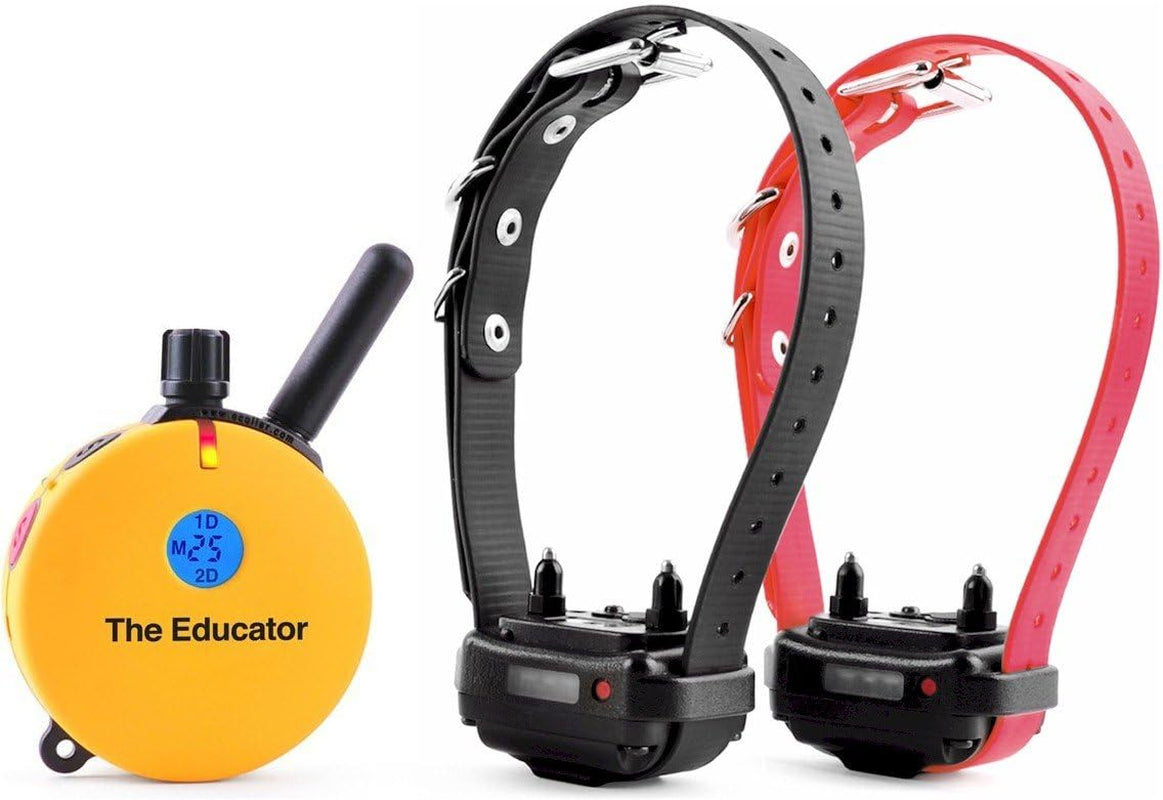 E-Collar Humane Dog Training Collar with Remote Features 100 Levels of Safe Stimulation, Tapping Sensation, Night Light, Waterproof, Rechargeable