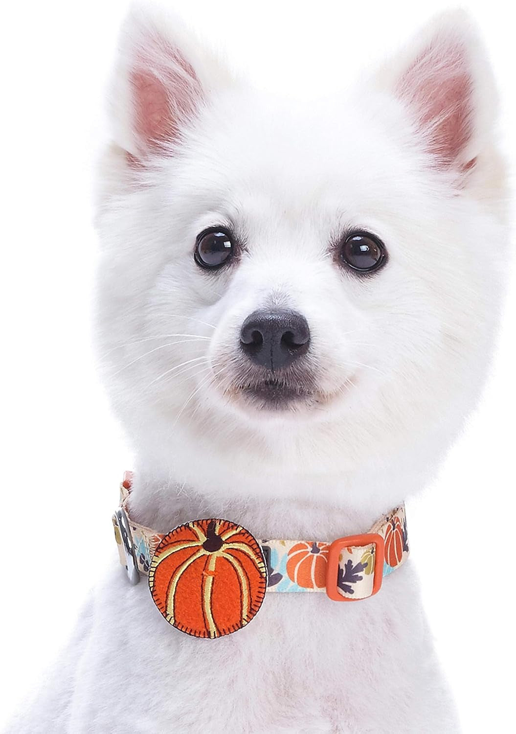 10 Patterns Fall Halloween Thanksgiving Dog Collars, Collar Covers